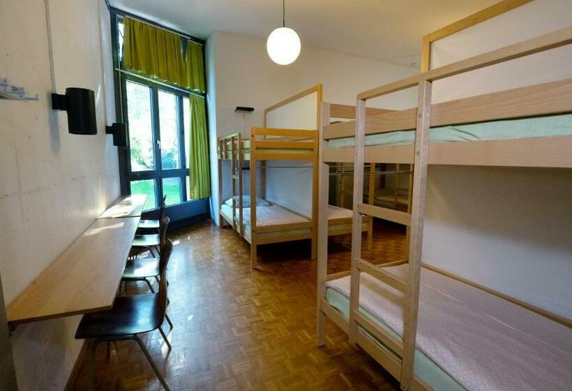 تختخواب در اتاق مشترک, Luzern Youth Hostel
