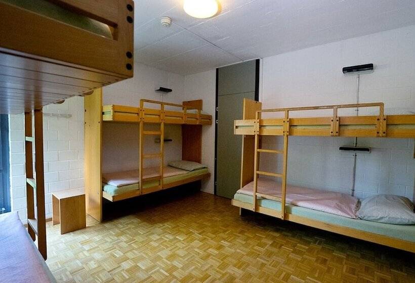 اتاق استاندارد با سرویس بهداشتی مشترک, Luzern Youth Hostel