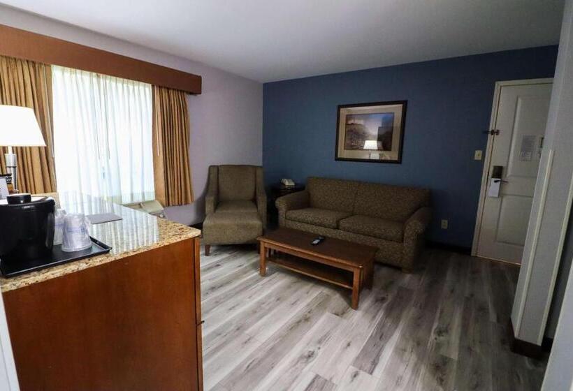 Номер Стандарт Адаптированный для Инвалидов, Best Western Denver Southwest