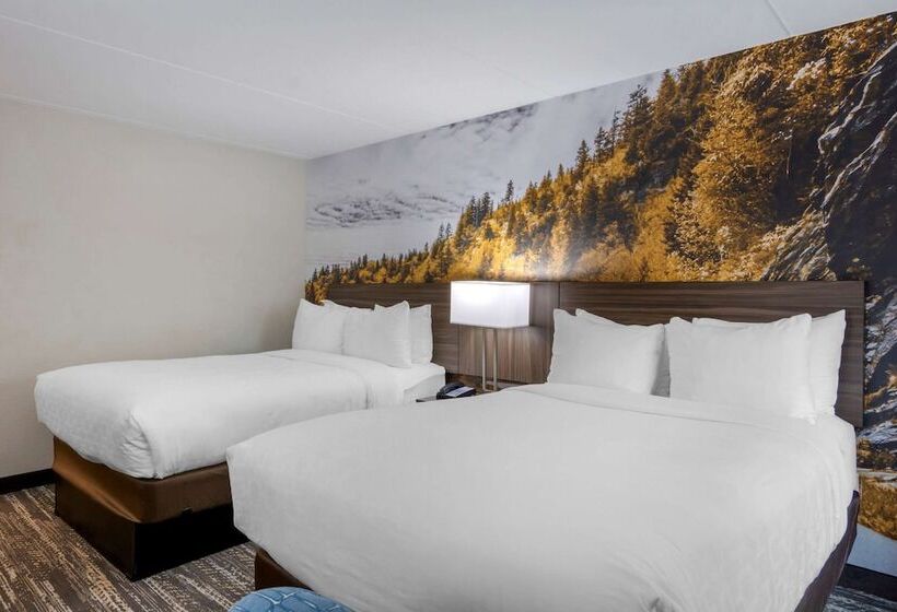 스탠다드 룸 더블 침대 2개, Clarion Pointe Charlottesville