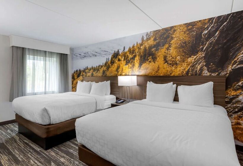 스탠다드 룸 더블 침대 2개, Clarion Pointe Charlottesville