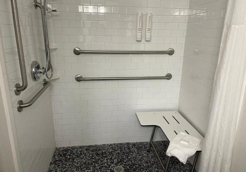 장애인을 위한 스탠다드 룸, Clarion Pointe Charlottesville