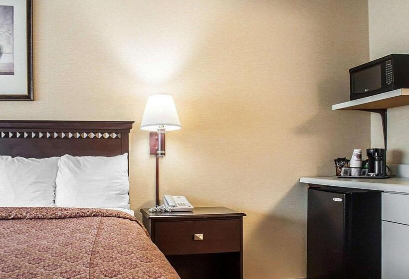Номер Стандарт Кровать Кинг Адаптированный для Инвалидов, Econo Lodge Elmira Corning