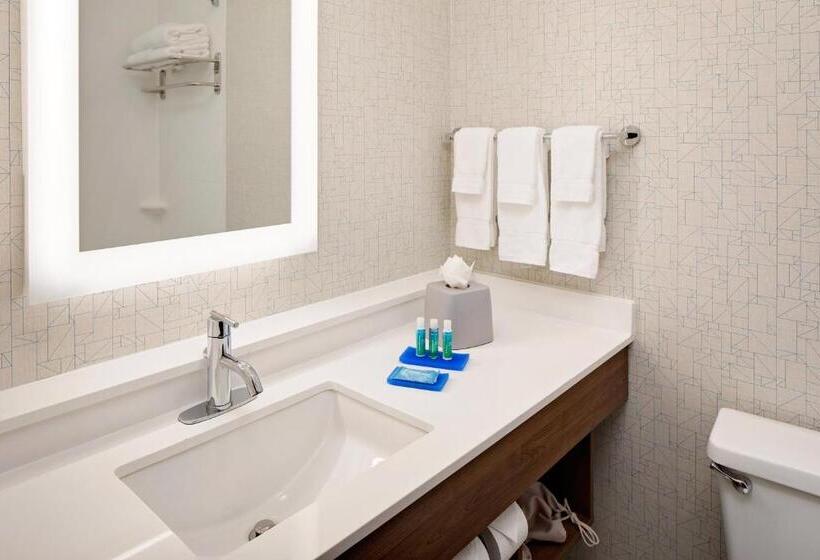 Номер Стандарт Адаптированный для Инвалидов, Holiday Inn Express   Harrisburg East By Ihg