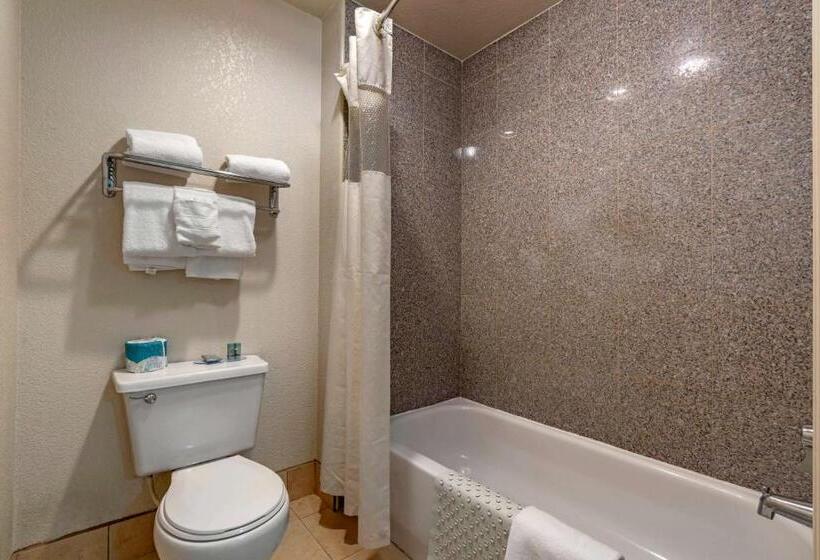 Номер Deluxe Кровать Кинг, Best Western Orchard Inn