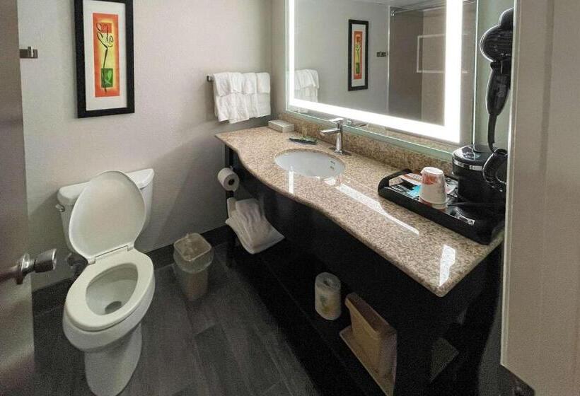 Suite King Size Bed, Clarion Pointe Near University