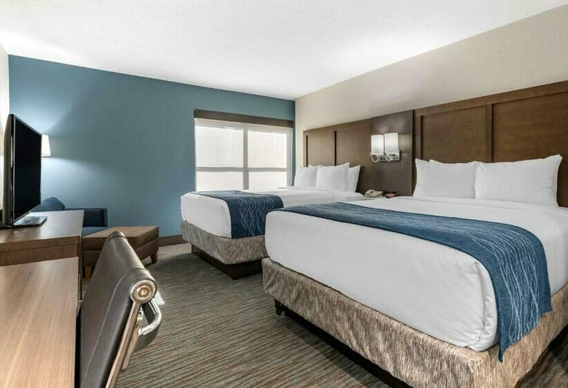标准间, Comfort Inn & Suites Downtown Brickell Port Of Miami