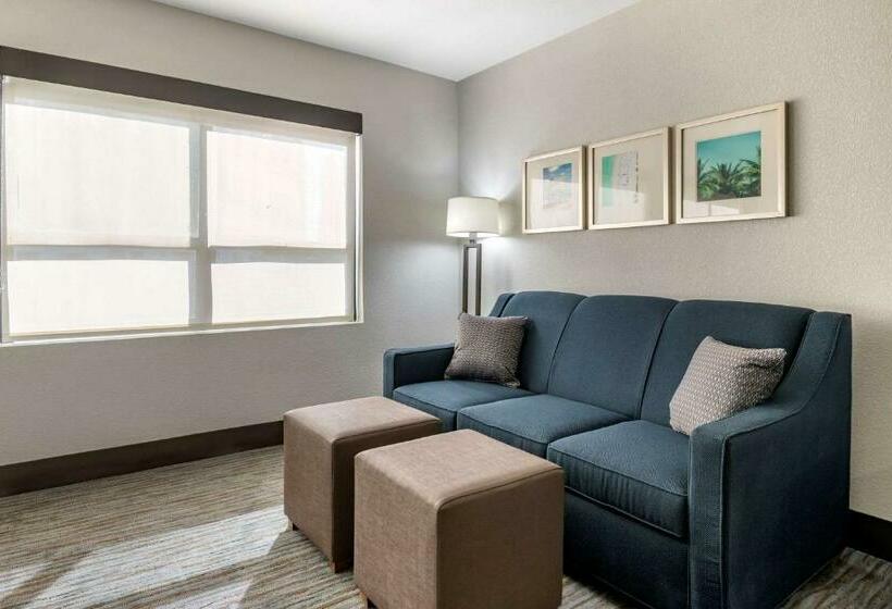 带大床的标准间, Comfort Inn & Suites Downtown Brickell Port Of Miami