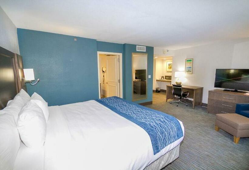 带大床的标准间, Comfort Inn & Suites Downtown Brickell Port Of Miami