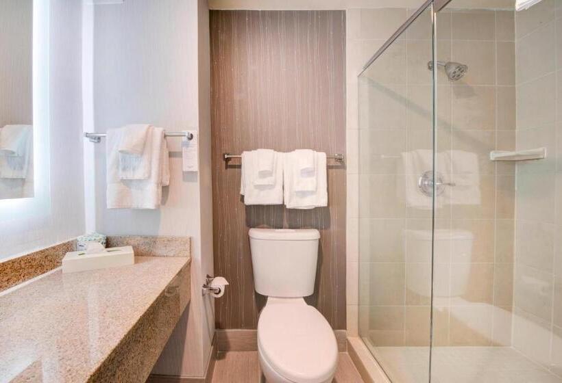 سوئیت با تخت بزرگ, Courtyard Raleigh Crabtree Valley