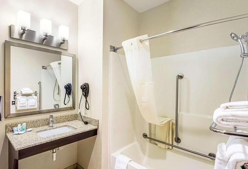 Люкс Адаптированный для Инвалидов, Quality Inn
