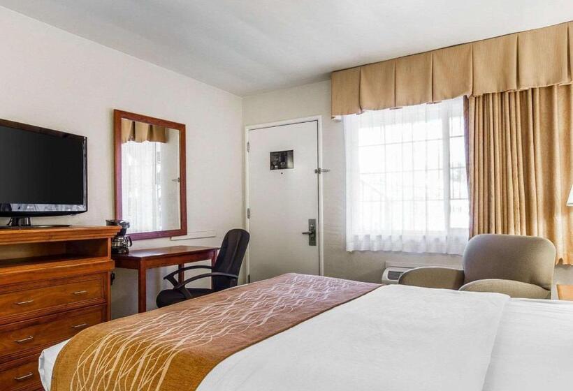 Номер Стандарт 2 Двуспальные Кровати, The Inn At 1252 Monterey