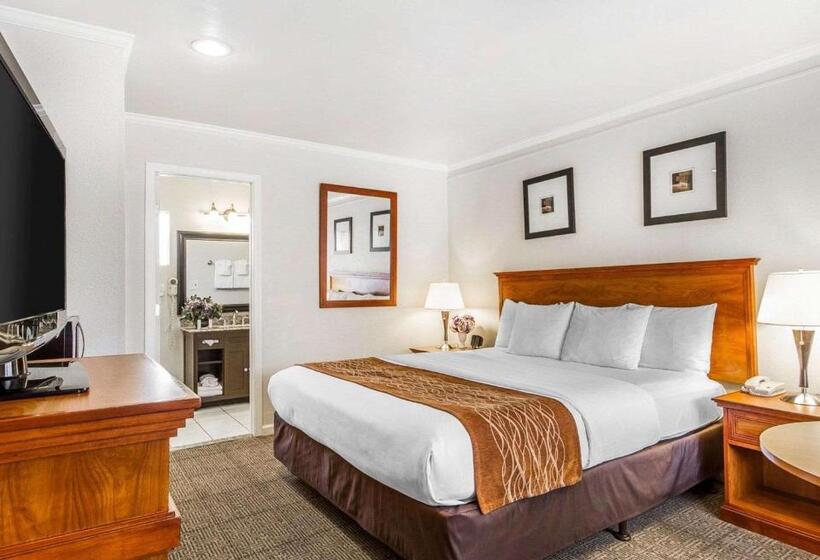 Стандартный Номер Кровать Кинг, The Inn At 1252 Monterey