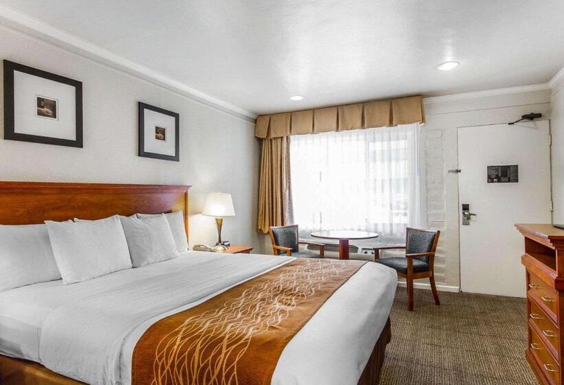 Стандартный Номер Кровать Кинг, The Inn At 1252 Monterey