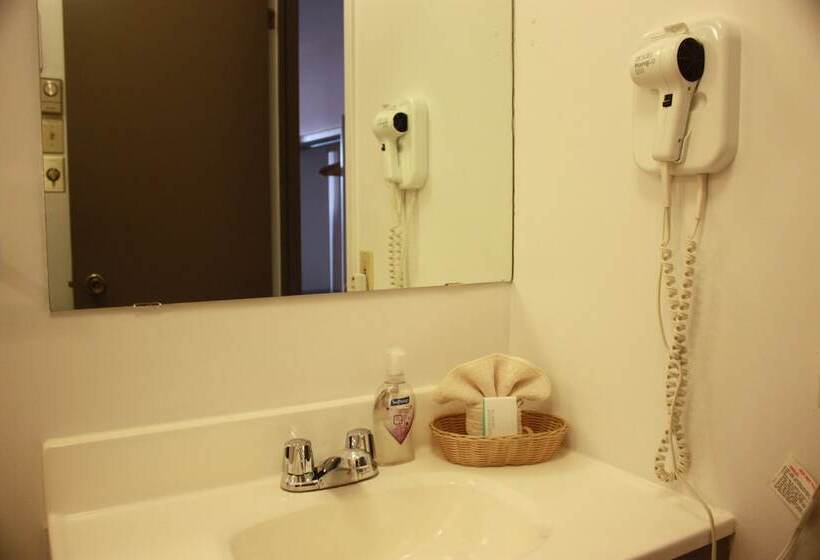 Номер Комфорт, Motel Le Radisson De Val David