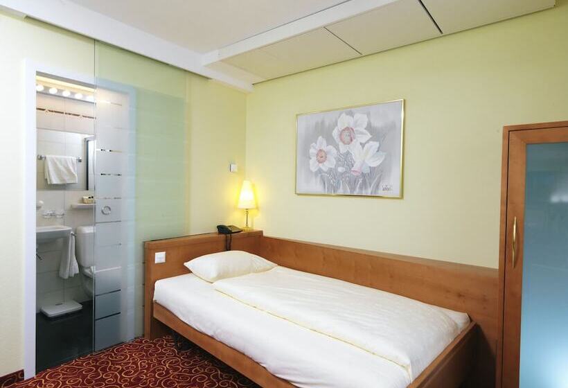 Номер Economy Индивидуальный, Gaia Hotel Basel   The Sustainable 4 Star