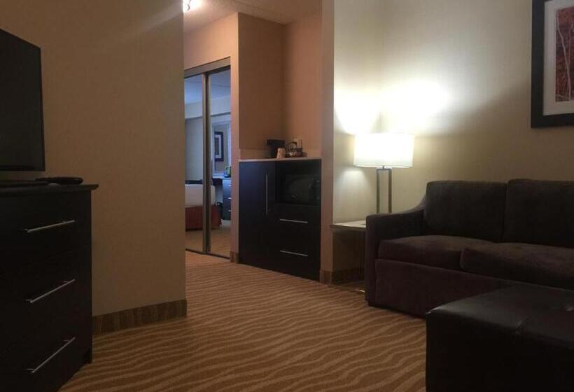 Студио Стандарт Кровать Кинг, Park Inn By Radisson Torontomarkham