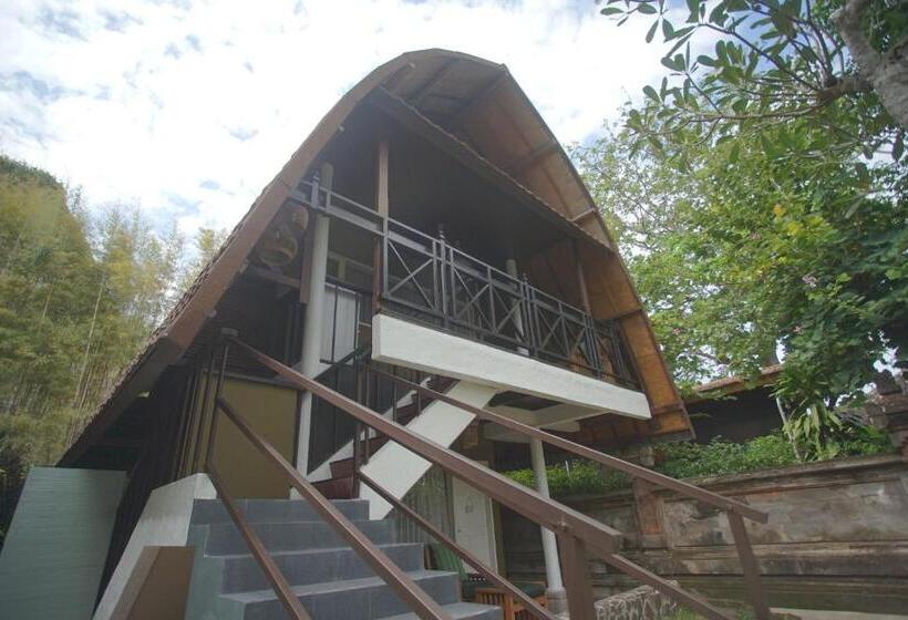 Quarto Estandar, Peneeda View Beach