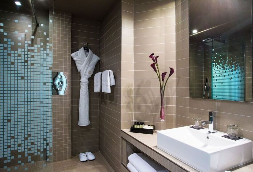 اتاق سوپریور, Pullman Toulouse Centre Ramblas