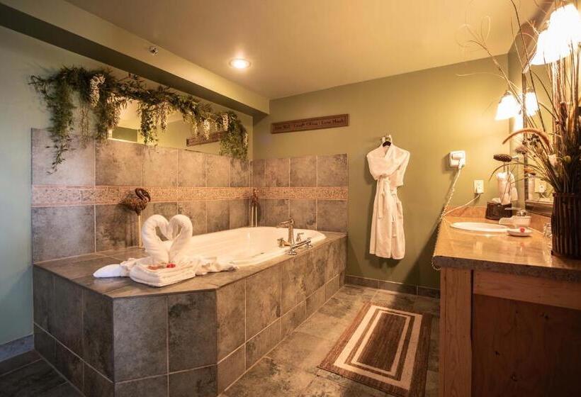 Номер Стандарт, The Anniversary Inn   Logan