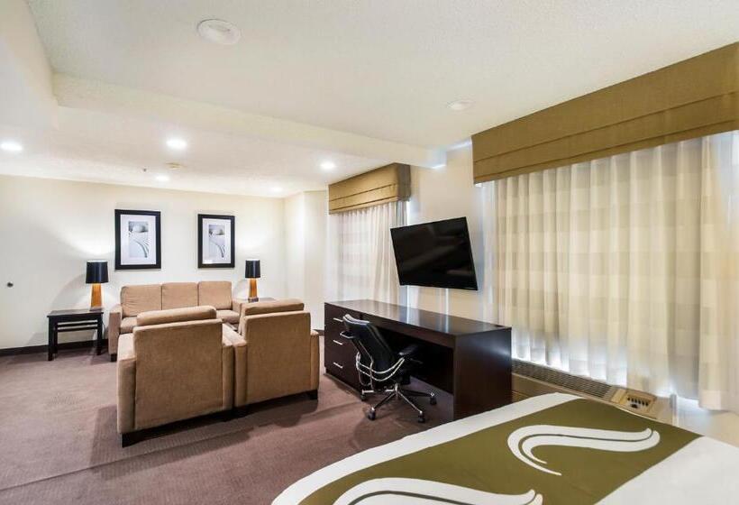 스탠다드 룸 킹사이즈 침대, Quality Inn