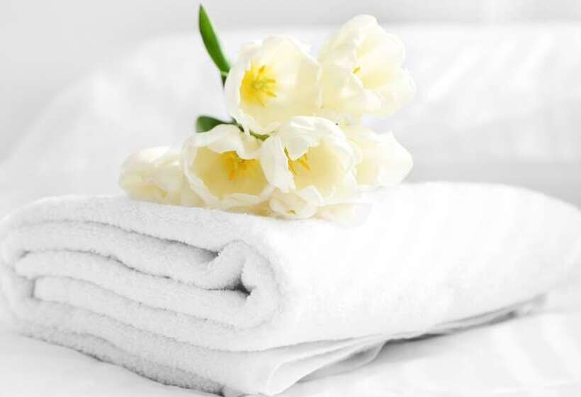 Номер Стандарт 2 Двуспальные Кровати, Shayona Inn Eden