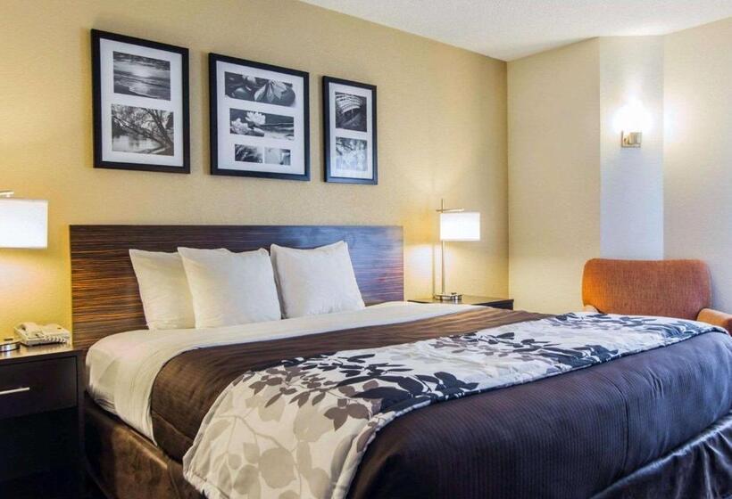 キングサイズベッドのスタンダードルーム, Sleep Inn Florence North