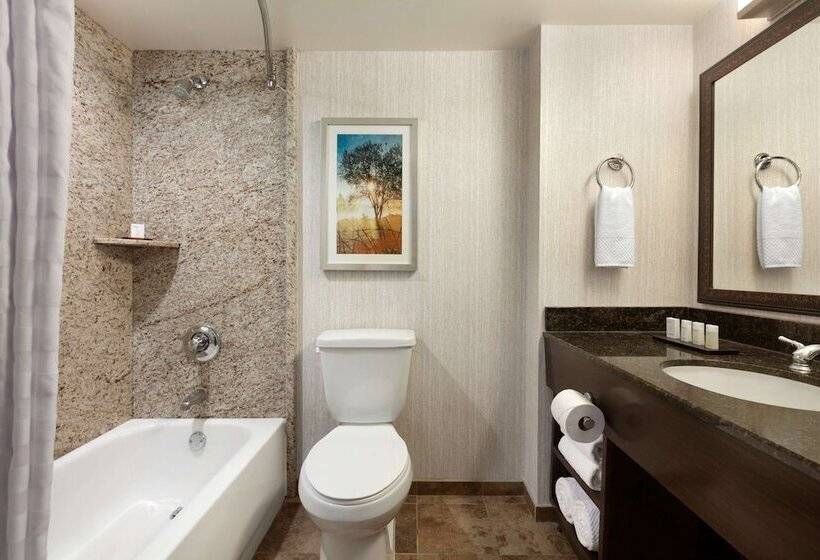 Люкс Премиум, Embassy Suites By Hilton Brea North Orange County