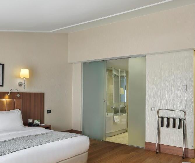 اتاق اجرایی, Holiday Inn Istanbul Old City, An Ihg