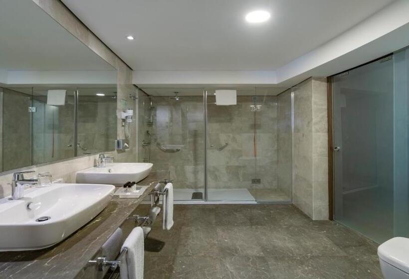 سوئیت با تخت بزرگ, Holiday Inn Istanbul Old City, An Ihg