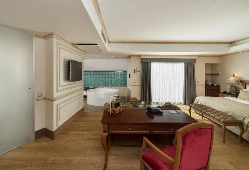 سوئیت با تخت بزرگ, Holiday Inn Istanbul Old City, An Ihg
