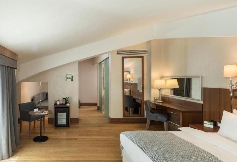 اتاق استاندارد با بالکن, Holiday Inn Istanbul Old City, An Ihg