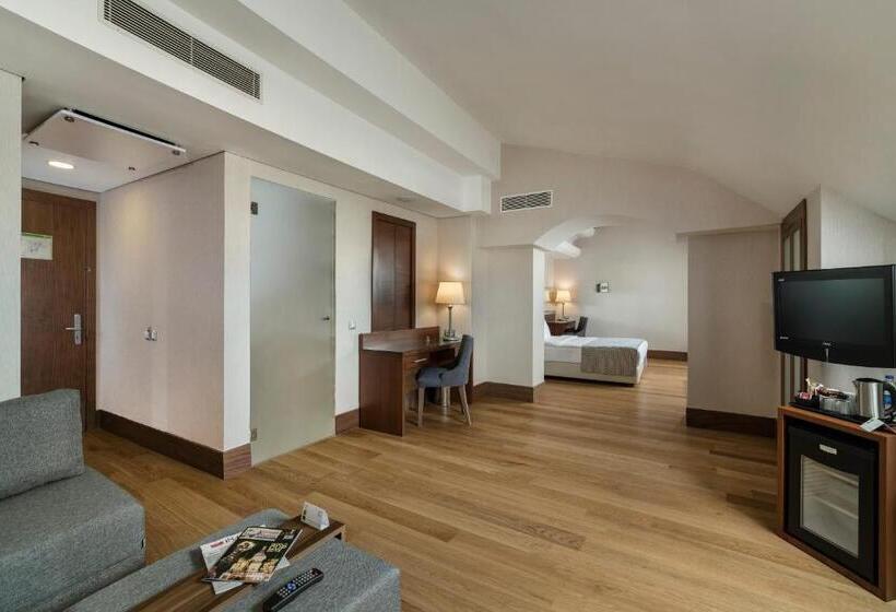 سوئیت با بالکن, Holiday Inn Istanbul Old City, An Ihg