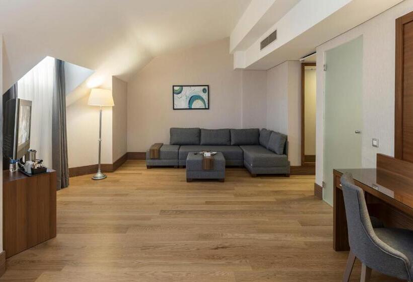 سوییت, Holiday Inn Istanbul Old City, An Ihg