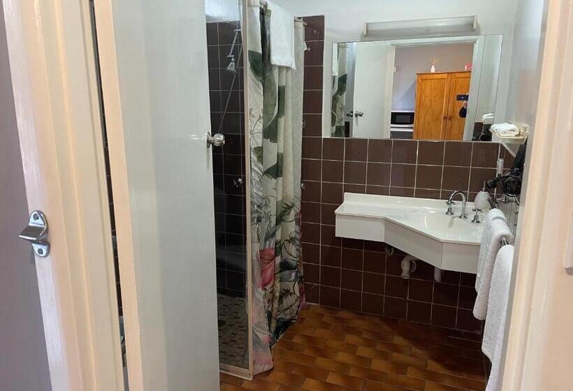 클래식 룸, Camperdown Cascade Motel