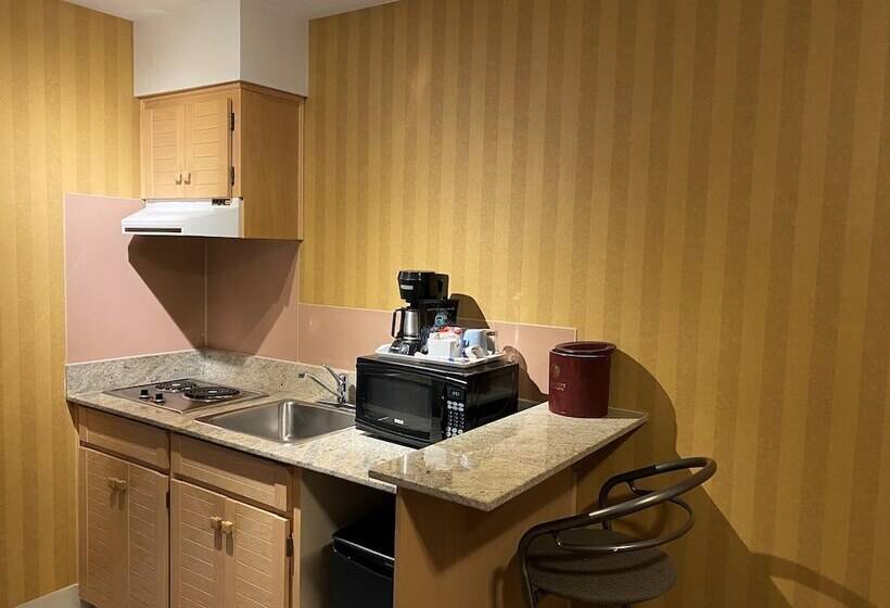 اتاق استاندارد, Executive Hotel Vancouver Airport