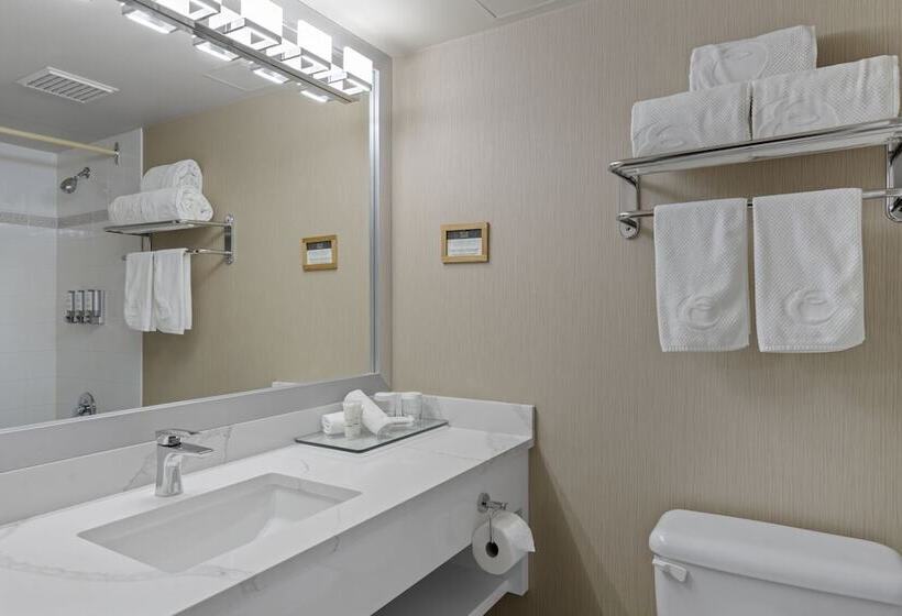 اتاق لوکس, Executive Hotel Vancouver Airport