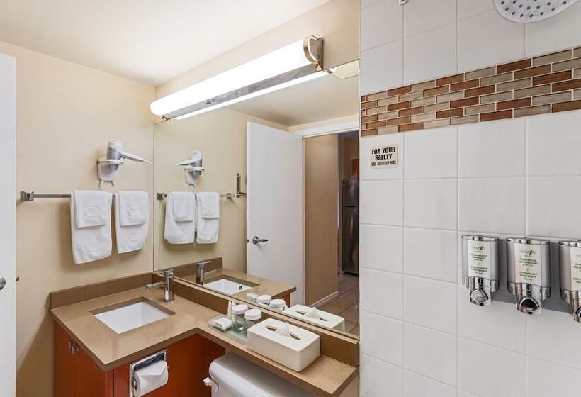 سوییت, Executive Hotel Vancouver Airport