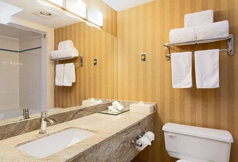 اتاق استاندارد, Executive Hotel Vancouver Airport