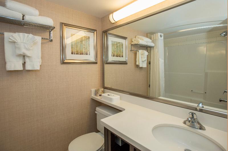 Quarto Estandar Cama King, Holiday Inn Conference Centre Edmonton South, An Ihg