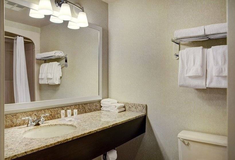 חדר סטנדרט שתי מיטות זוגיות, Travelway Inn Sudbury