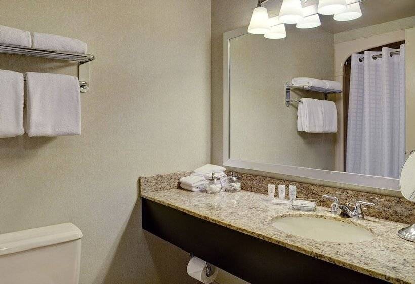 חדר סטנדרט שתי מיטות זוגיות, Travelway Inn Sudbury