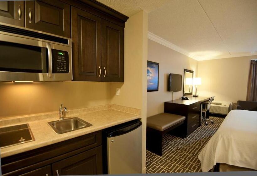 استودیو استاندارد با تخت کینگ, Visitor S Inn