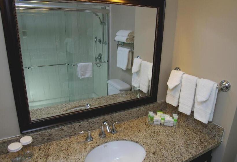 استودیوی استاندارد, Visitor S Inn