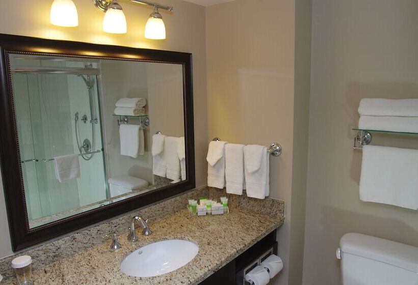 سوئیت جونیور با ماساژ آبی, Visitor S Inn