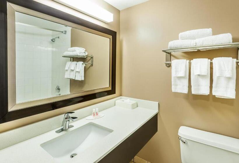 スタンダードルーム, Super 8 By Wyndham Calgary/airport