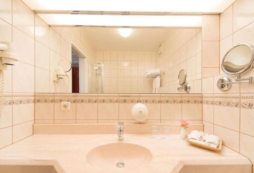 Номер Economy, Best Western Plus Delta Park