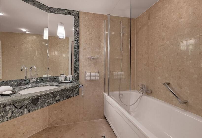 高级大房间, Bilderberg Bellevue Hotel Dresden