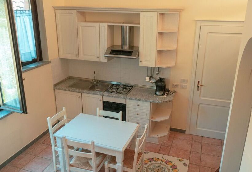 آپارتمان سوپریور 1 خوابه, Carpediem Assisi Living Club