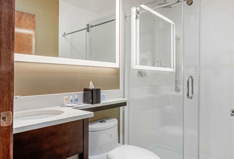 Номер Стандарт 2 Двуспальные Кровати, Comfort Inn Prospect Parkbrooklyn